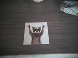 Seb review photo