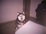 Tamara S. review photo