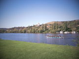 Alan M. review photo