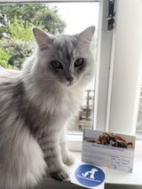 Frances review photo