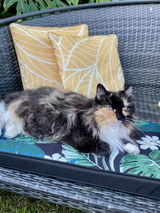 Jacqueline review photo