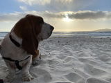 Otis’ Mom review photo