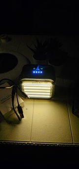 Chris G. review photo