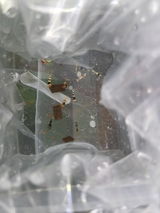 Ray Cheng review photo