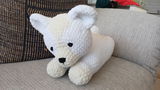 Sam Sutherland review photo