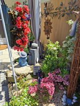 Jutta S. review photo