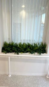 Amy C. from Lambton, NSW review photo