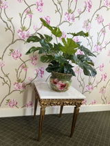 Karen A. from South Yarra, VIC review photo
