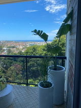 Anne-Maree A. from Dulwich Hill, NSW review photo