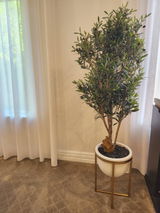 Laura D. from Maida Vale, WA review photo