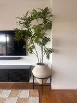Cleopatra K. from Arncliffe, NSW review photo