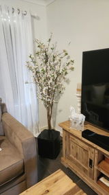 Sharon H. from Bulgarra, WA review photo