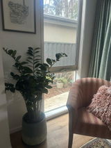 Bronwyn J. from Woodend, VIC review photo