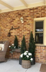 Karyn F. from Yarra Junction, VIC review photo