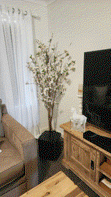 Sharon H. from Bulgarra, WA review photo