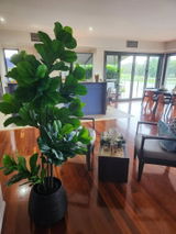 Thomas S. from Robina, QLD review photo