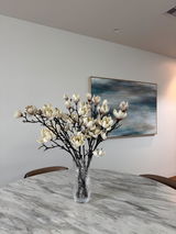 Photo by Brooke V. from Bentleigh, VIC review photo