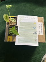Blaze Trindle review photo