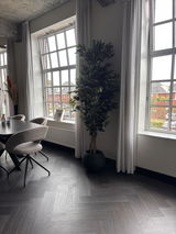 Claudia van de Mierde review photo