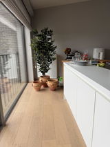 Hugo Fransen review photo