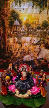 Taruna Yadav review photo