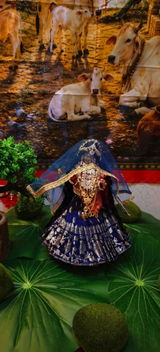 Taruna Yadav review photo