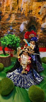 Taruna Yadav review photo