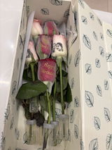 Aman Kamra review photo