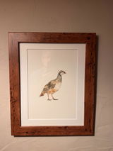 Guy Rogerson review photo