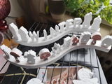 Marianne Schneider review photo