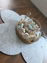 Tanja Kosel review photo