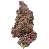 --- review photo