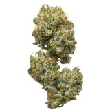 toemosdapfunk review photo