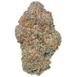 James B. review photo