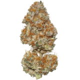 toemosdapfunk review photo
