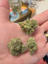 Motty B. review photo