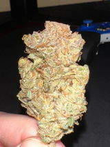 Anonymous review photo