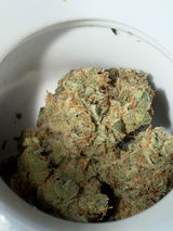 Adzy review photo