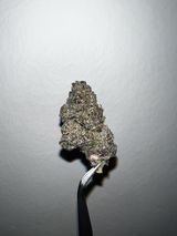J.P.S. review photo