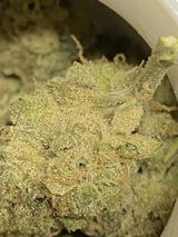 BuddhaB review photo