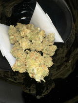 Austin F.(. review photo