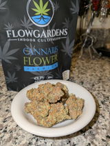 Gjohnson review photo