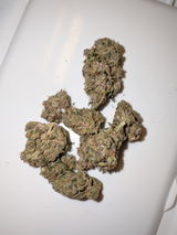 Gjohnson review photo