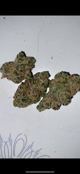 H review photo
