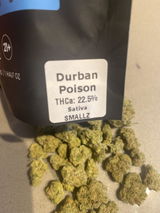 Dustin review photo
