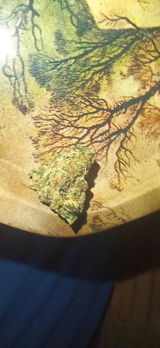 Slapnutz review photo