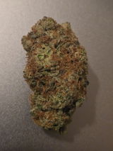 Jason R. review photo
