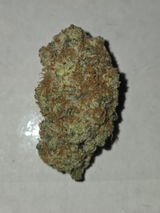 Jason R. review photo
