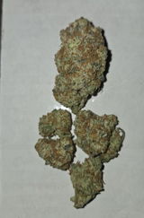 Jason R. review photo