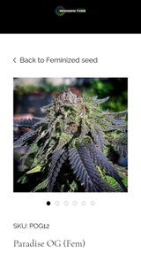 MEDGROW F. review photo